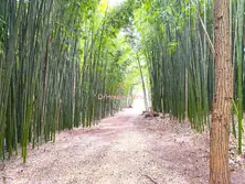 Vente maison Saint-Ambroix  