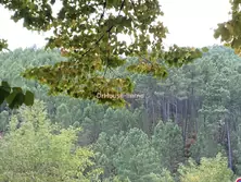 Vente appartement besseges  