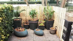 Vente appartement Le Grau-du-Roi  