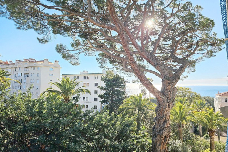 Appartement Cannes Plage du midi,   achat appartement  1 pièce   29&nbsp;m&sup2;