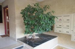 Location appartement Aix-en-Provence  