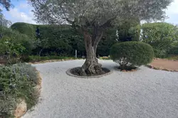 Location saisonnière Villa avec piscine et vue sur mer Sainte-Maxime  
