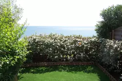 Location saisonnière Mini Villa Tarco conca  