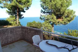 Location saisonnière Mini Villa Tarco conca  