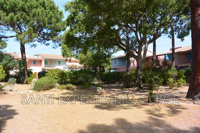 Photo Mini villa SAINT-CYPRIEN LECCI Plage à pied,  Location saisonnière mini villa  2 couchages   44&nbsp;m&sup2;