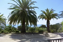 Location saisonnière Appartement Sari-Solenzara  