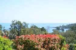 Location saisonnière Appartement Favone conca  