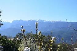 Location saisonnière Villa Sari-Solenzara  