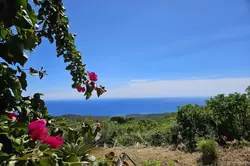 Location saisonnière Villa Sari-Solenzara  