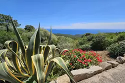Location saisonnière Villa Sari-Solenzara  