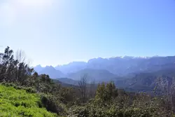 Location saisonnière Villa Sari-Solenzara  