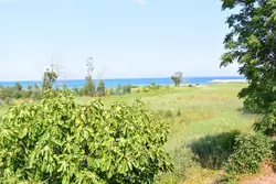 Location saisonnière Villa Sari-Solenzara  