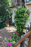 Location saisonnière Mini Villa Sainte-Lucie de Porto-Vecchio  