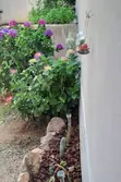 Location saisonnière Mini Villa Sainte-Lucie de Porto-Vecchio  
