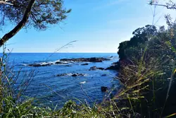 Location saisonnière Appartement Sari-Solenzara  