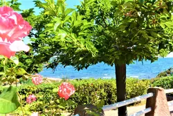 Location saisonnière Mini Villa Sari-Solenzara  