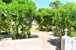 Location saisonnière Mini Villa Sari-Solenzara  