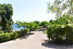 Location saisonnière Mini Villa Sari-Solenzara  