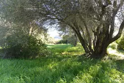 Location saisonnière Mini Villa Aléria  