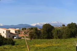 Location saisonnière Mini Villa Aléria  