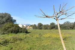 Location saisonnière Mini Villa Aléria  