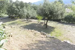 Location saisonnière Appartement Conca  