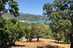Location saisonnière Appartement Favone conca  