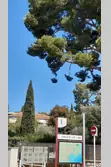 Location saisonnière Appartement Saint-Cyr-sur-Mer  