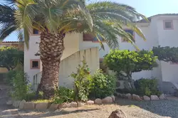 Location saisonnière Appartement Favone conca  