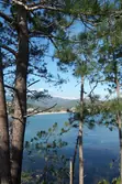 Location saisonnière Appartement Favone conca  