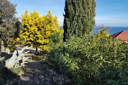 Location saisonnière Villa Favone conca  