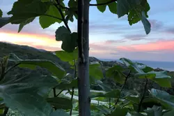 Location saisonnière Villa Favone conca  