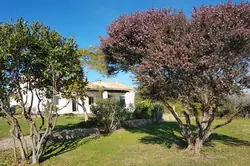 Location saisonnière Mini Villa Solaro  