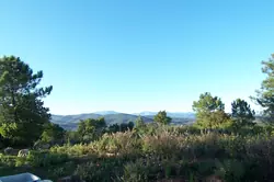 Location saisonnière Appartement Sari-Solenzara  