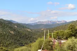 Location saisonnière Appartement Sainte-Lucie de Porto-Vecchio  