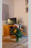 Location saisonnière Villa SAINT-CYPRIEN LECCI  