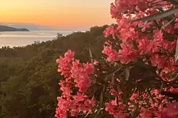 Location saisonnière Mini Villa Favone conca Location saisonnière Mini Villa Favone conca