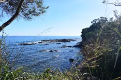 Location saisonnière Appartement Sari-Solenzara  