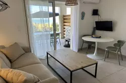 Location saisonnière Appartement Bravone Linguizetta  