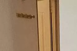 Location saisonnière Appartement Favone conca  