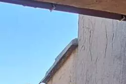 Location saisonnière Appartement Favone conca  