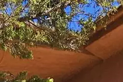 Location saisonnière Appartement Favone conca  