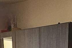 Location saisonnière Appartement Sari-Solenzara  