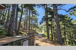 Location saisonnière Mini Villa Quenza  