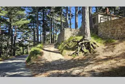 Location saisonnière Mini Villa Quenza  
