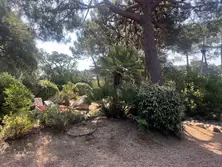 Location saisonnière Mini Villa Saint-Cyprien Lecci  