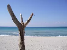 Location saisonnière Appartement Sari-Solenzara  