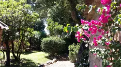 Location saisonnière Villa Lecci  