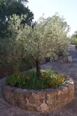 Location saisonnière Villa Tarco conca  