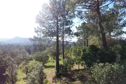 Location saisonnière Villa Lecci  